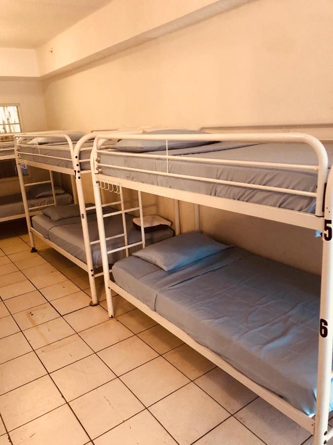 מיאמי ביץ' Miami Hostel מראה חיצוני תמונה